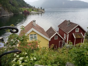 IMG_20150628_120321 (500x375)