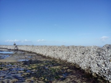 IMG_20141109_133459 (450x338) (450x338)