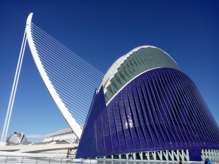 IMG_20141208_111614 (450x338)