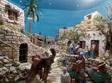 IMG_20141230_180406 (500x375)