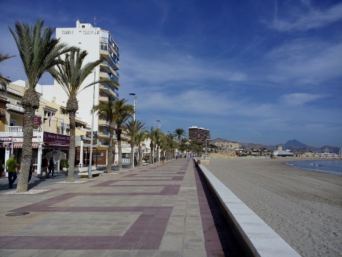 IMG_20150114_130429 (500x375)