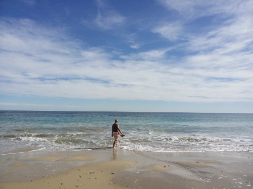 IMG_20150125_140056 (500x375)