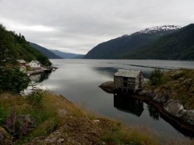 IMG_20150707_194300 (450x338)