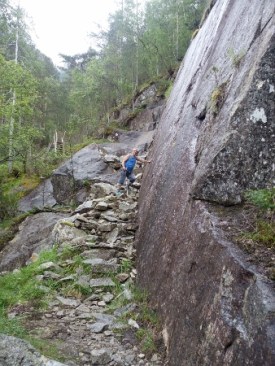 IMG_20150708_115412 (338x450)