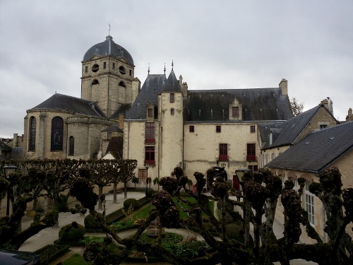 IMG_20151022_123233 (500x375)