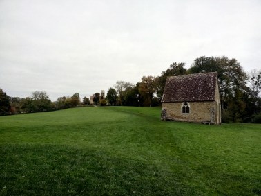 IMG_20151023_113951_1 (500x375)