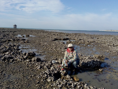 IMG_20151026_104426 (500x375)