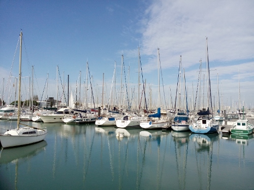 IMG_20151026_134746 (500x375)