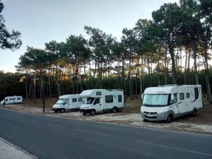 IMG_20151031_083427_1 (500x375)