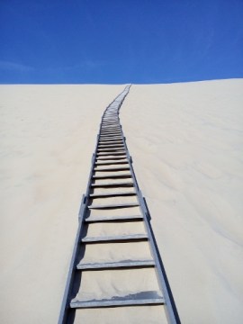 IMG_20151031_102452 (375x500)