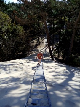 IMG_20151031_102515 (375x500)