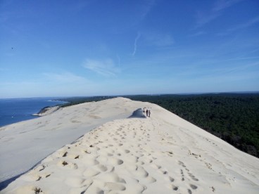 IMG_20151031_104647 (500x375)