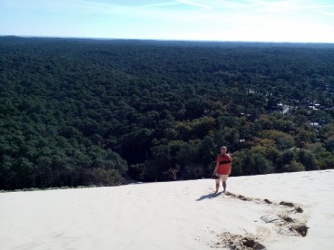 IMG_20151031_105509 (500x375)