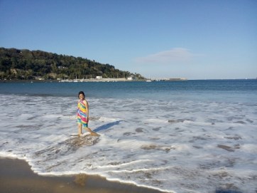 IMG_20151101_144217 (500x375)