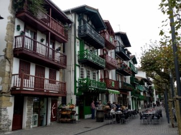 IMG_20151102_133445 (500x375)