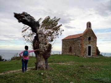 IMG_20151104_153118_1 (500x375)