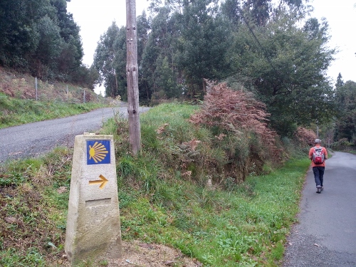 IMG_20151118_102336 (500x375)