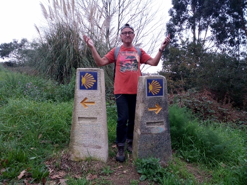 IMG_20151118_110216 (500x375)