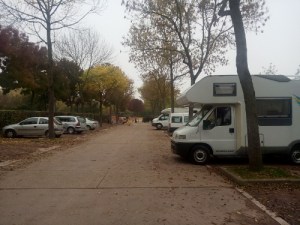 IMG_20151019_101923 (500x375)