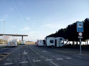 IMG_20151112_094236_1 (500x375)