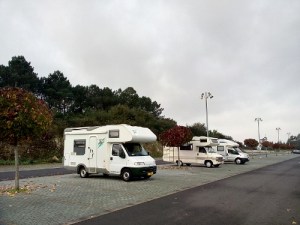 IMG_20151120_095511_1 (500x375)