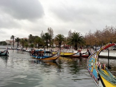 IMG_20151125_152858_1 (500x375)