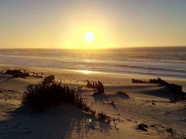 IMG_20151126_165023 (500x375)