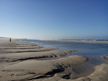 IMG_20151127_095214 (500x375)