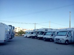 IMG_20151205_083847_1 (500x375)