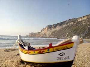 IMG_20151206_155156_1 (500x375)