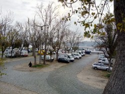 IMG_20151213_100032_1 (500x375)