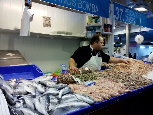 IMG_20160109_105238 (500x375)