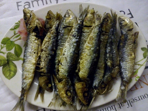 IMG_20160130_194144_1 (500x375)