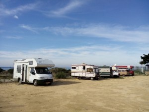 IMG_20160202_120537 (500x375)