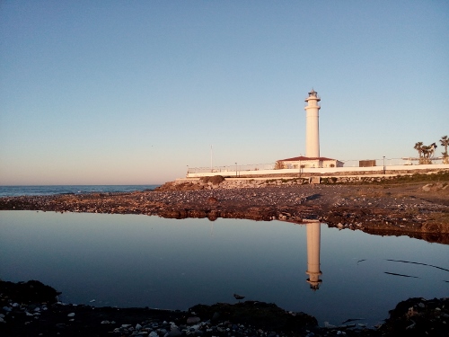 IMG_20160301_080106 (500x375)