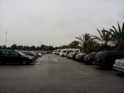 IMG_20150119_100929 (500x375)