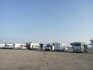 IMG_20150316_181619 (500x375)