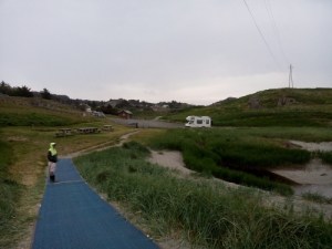 IMG_20150702_213905 (500x375)