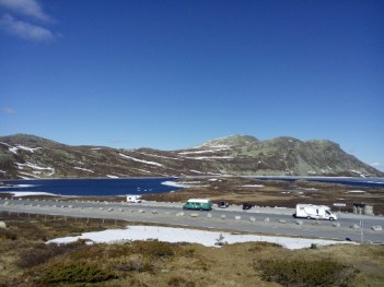 IMG_20150615_173133 (500x375)