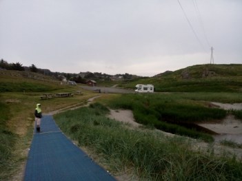 IMG_20150702_213905 (500x375)