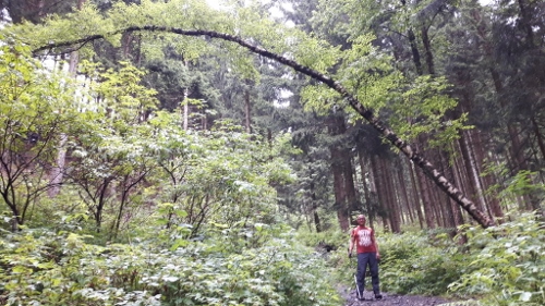 20160717_131819-500x281