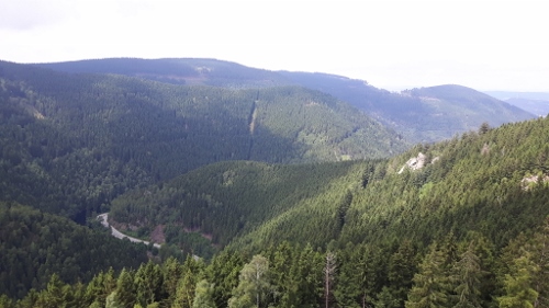 20160717_135023-500x281