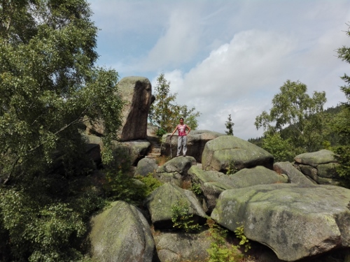 img_20160717_134819-500x375