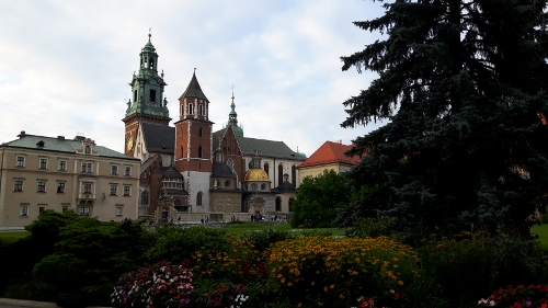 20160813_191423-500x281