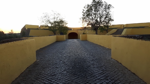 20161116_170757-500x281