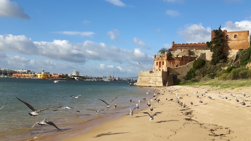 20161216_145128_001_01 (500x281)