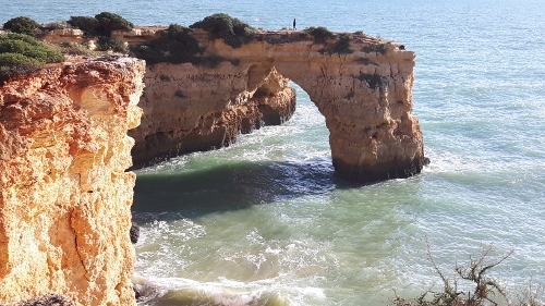 20161218_142719 (500x281)