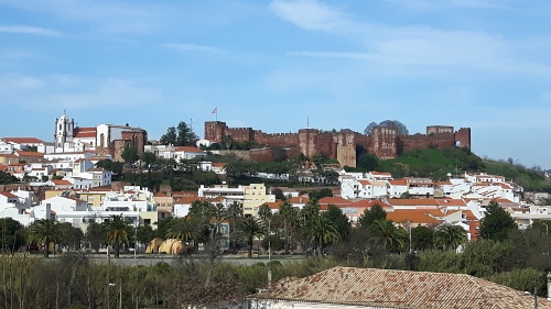 20161227_112444 (500x281)