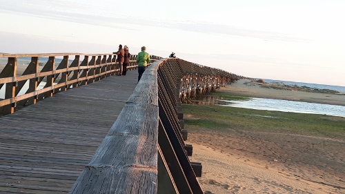 20170119_182636 (500x281)