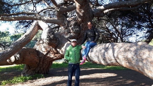 20170123_103339 (500x281)